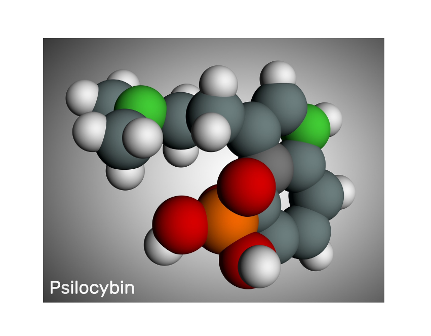 Psilocybin-assisted Psychotherapy - Mood Disorder Treatment