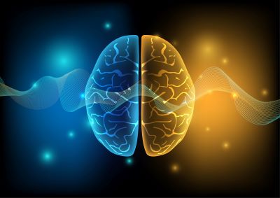image of brain