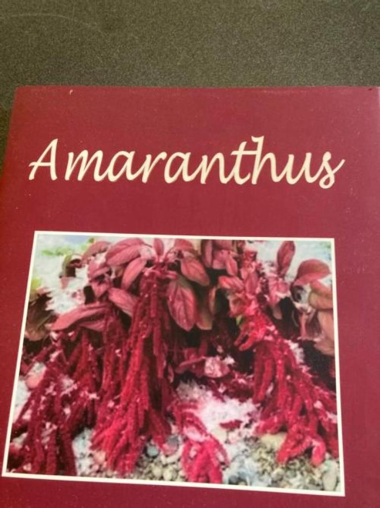 Amaranthus