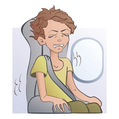 Overcome Fear of Flying Martin Seif
