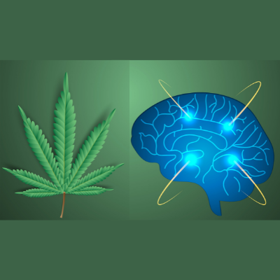 Cannabis Research - Mental Health Webinar
