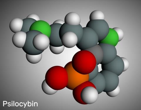 Psilocybin-assisted Psychotherapy - Mood Disorder Treatment