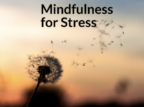 Accessing Your Ability for Mindfulness in Times of Stress: Mindfulness at Your Fingertips 
