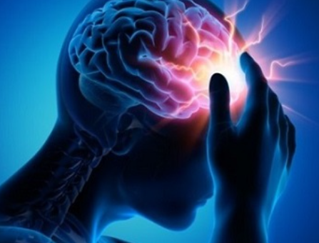 neurobiological