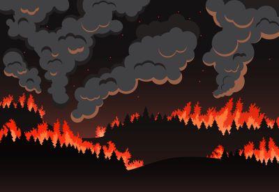 Wildfire Anxiety - Relaxation Tips  Shannon
