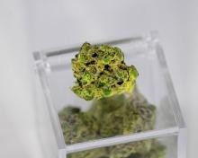Medical Marijuana Laws & Evidence for Harmful/Beneficial Effects in Depression and Anxiety Disorders