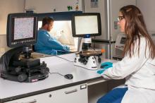 Mining for Gold: Alternative Strategies for Successful Careers in Academic Medical Research