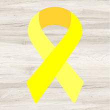Suicide Risk Professional Webinar